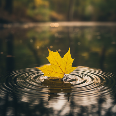 Beyond Fortune-Telling: How Plum Blossom I Ching Trains Your Intuition